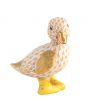 Duckling In Boots