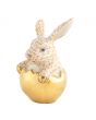 Hatching Bunny