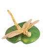 Dragonfly on Lily Pad