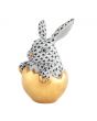 Hatching Bunny