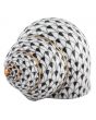 Periwinkle Shell