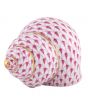 Periwinkle Shell