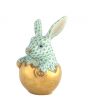 Hatching Bunny