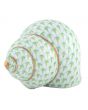Periwinkle Shell