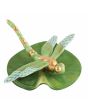 Dragonfly on Lily Pad