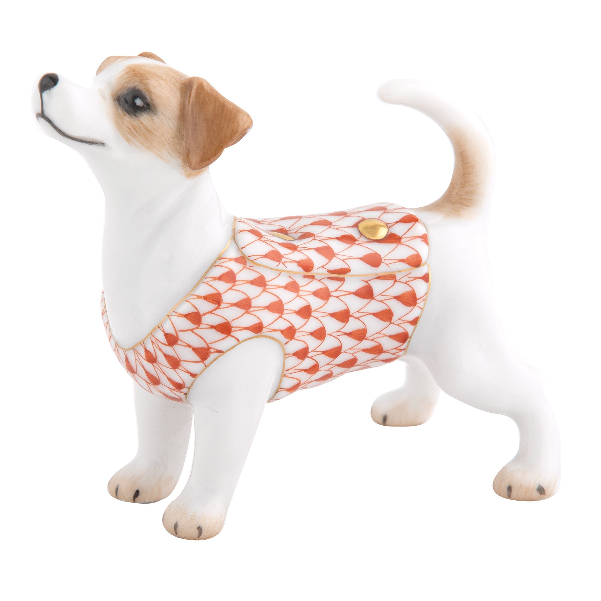 Jack Russell Terrier