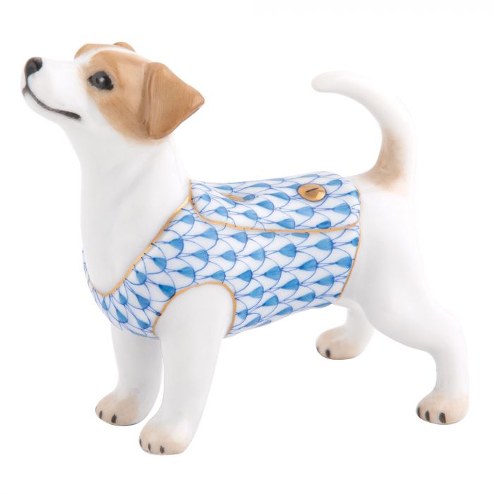 Jack Russell Terrier