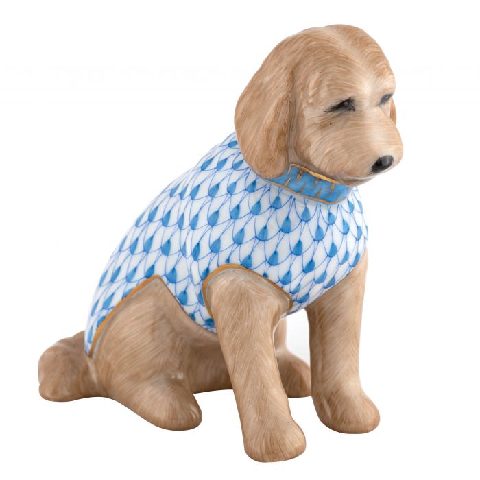 Labradoodle