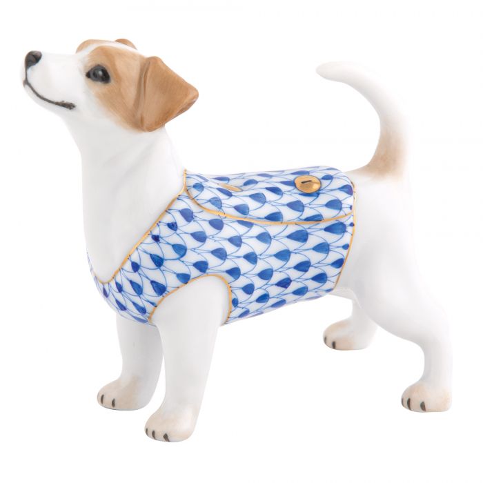 Jack Russell Terrier