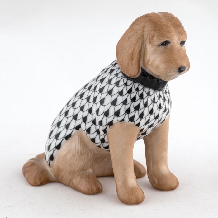 Labradoodle