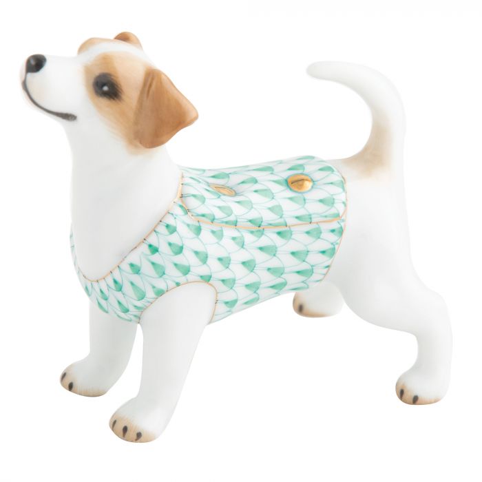 Jack Russell Terrier