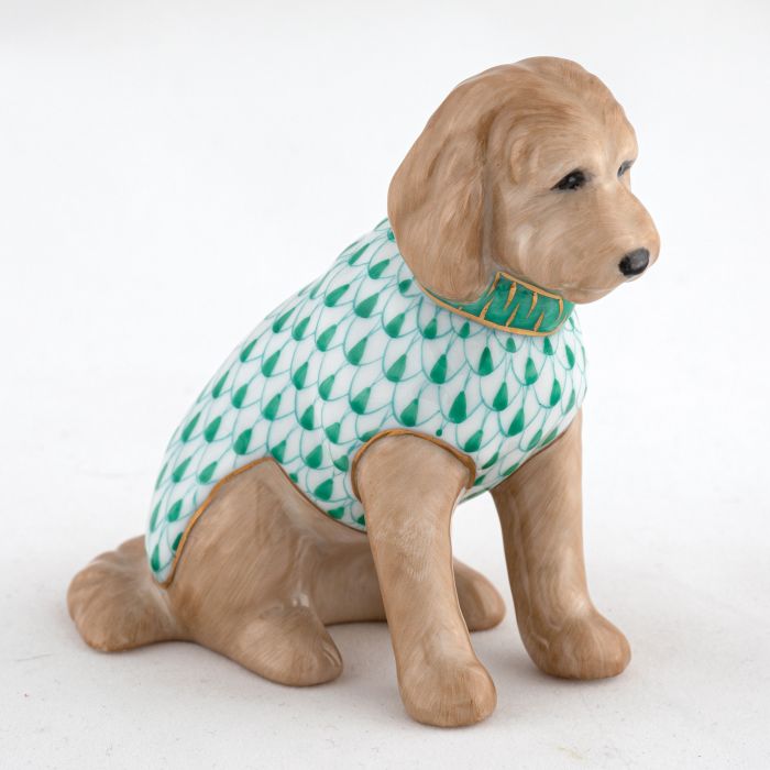 Labradoodle