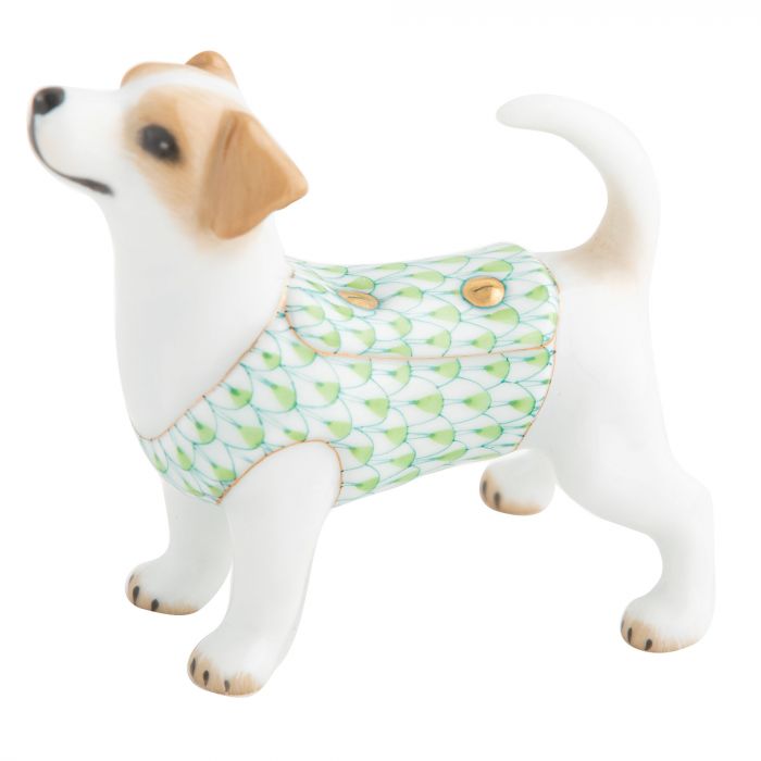 Jack Russell Terrier